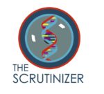 The Scrutinizer, LLC