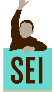Self Enhancement, Inc. (SEI)