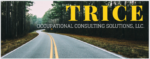 Trice Occupational Consulting Solutions LLC